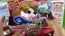 Chubby Puppies Ultimate Dog Park Playset! Pomeranian Spitz & BULLDOG! Shopkins Season 3 Basket