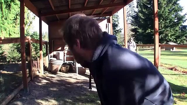 Building a Chicken Coop Part 2 - The Homesteading Project