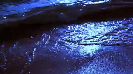 Sawan Ki Bheegi Raton Mein - | Sonu Kakkar | HD vIDEO SonG-