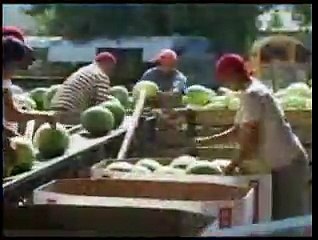 How to Make a Watermelon Basket