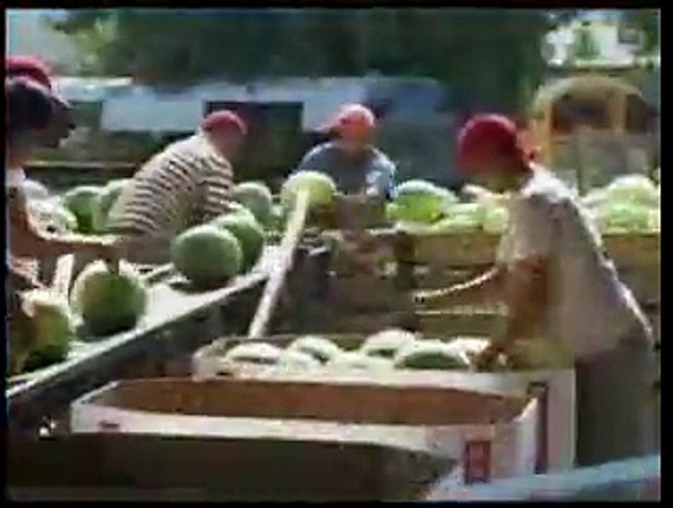 How to Make a Watermelon Basket