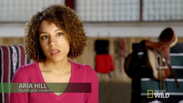 Ben 10: Race Against Time - Back To School