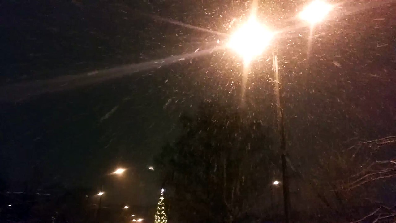 Снегопад 2 февраля 2016 года