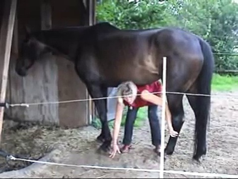 Cranio-Sacrale-Therapie mit Andrea Mais bei einem asthmakranken Pferd