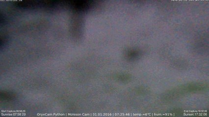 31-01-2016 Moleson (Day 31 of 365)