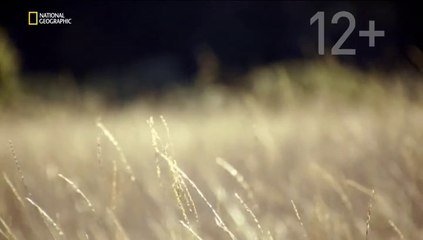 Исследователь 2.0 Зов природы (2015)