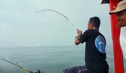 Mancing Ikan Senangin