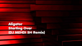 Aligator - Starting Over (DJ MEHDI SH Remix) (Audio)