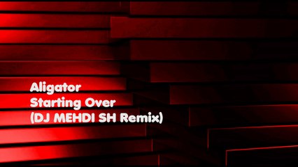 Aligator - Starting Over (DJ MEHDI SH Remix) (Audio)