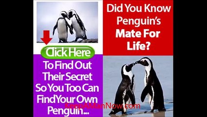 Penguin Method Review (Samantha Sanderson is Here!)