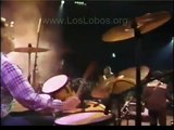 1987 Los Lobos La Bamba LIVE at MTV Awards