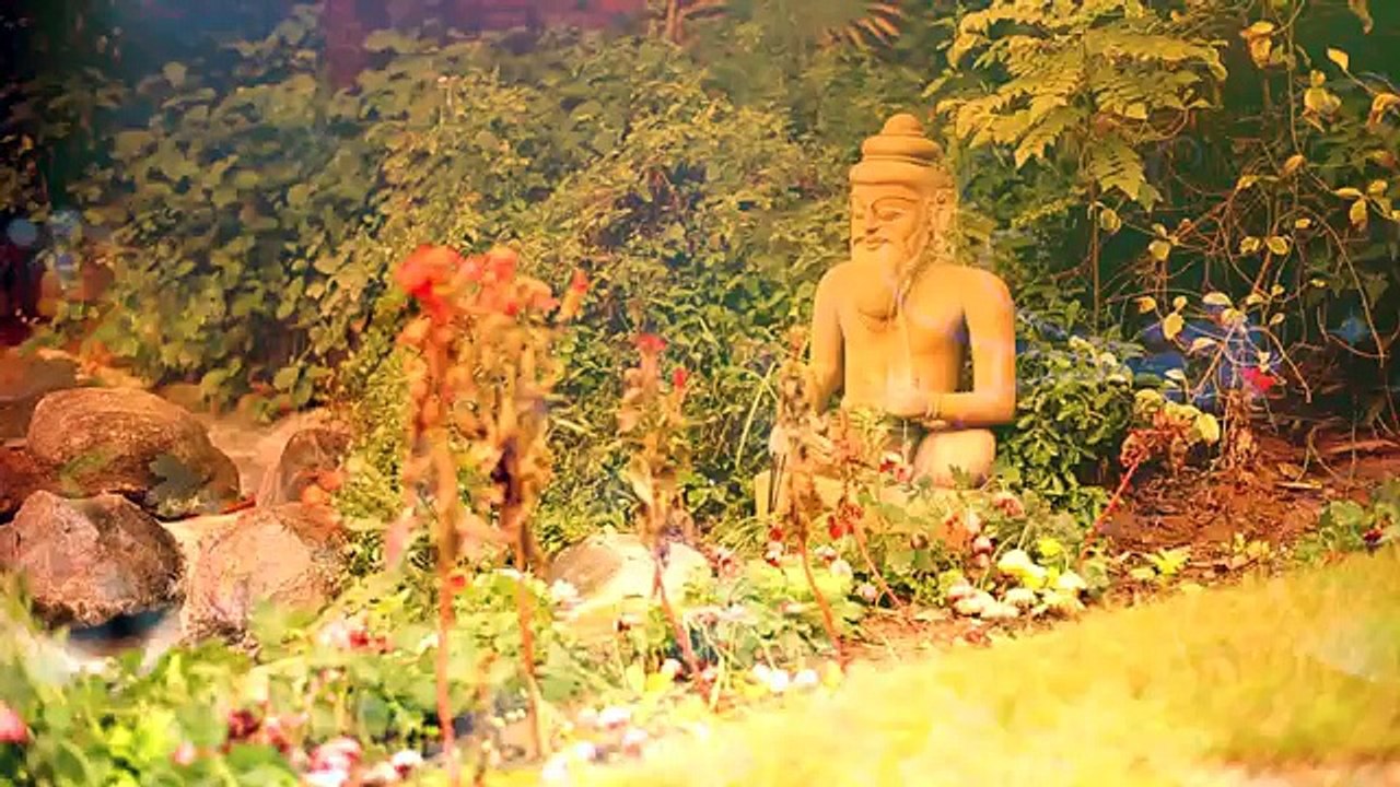 The Ayurveda Experience