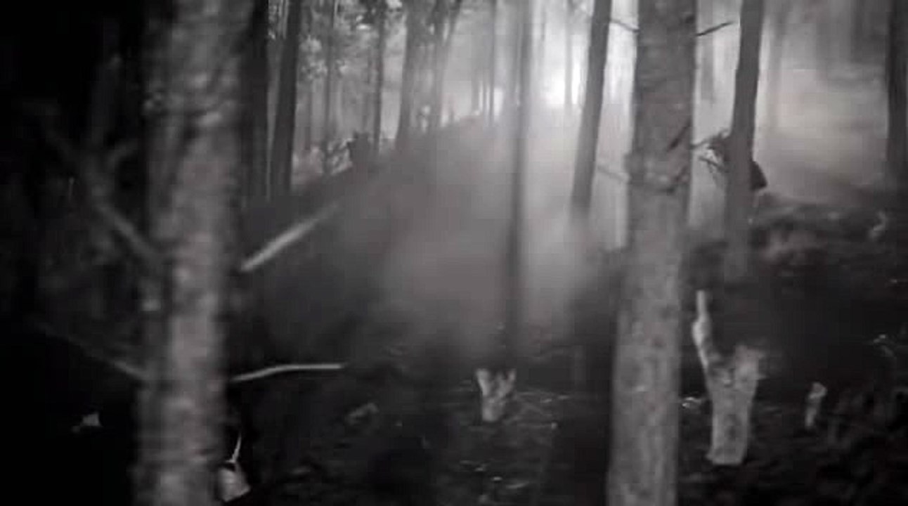 바카라꽁머니♬WKW22。COM㈜12bet주소←바카라프로그램