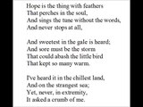 Hope Is The Thing With Feathers Emily Dickinson poem GREAT METAPHOR about hope!