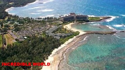 Hawaii shark Attack: Tiger shark chomps On snorkeling Man In Hapuna Beach(FULL REPORT)!!!