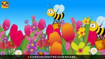 Die Lieder der Tiere | Kinderlieder zum Mitsingen | Kinderlieder deutsch | Video Mix