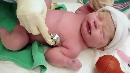 The 3 Day Thrush Cure