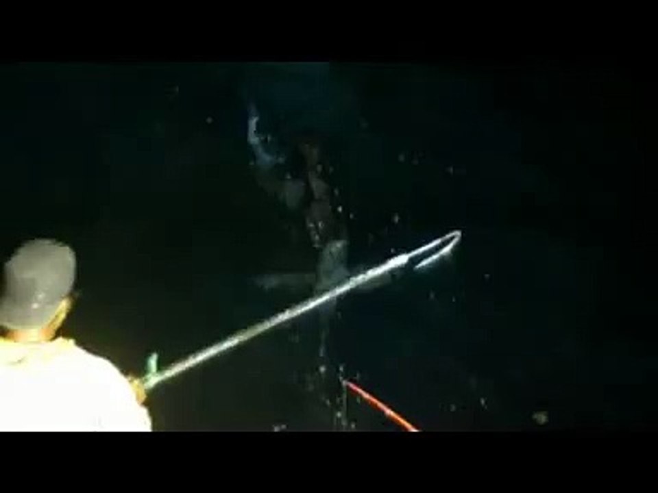 Mancing Ikan Layarann Billfish