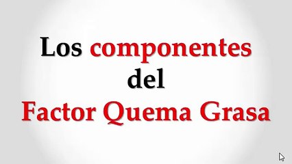 Los componentes del Factor Quema Grasa