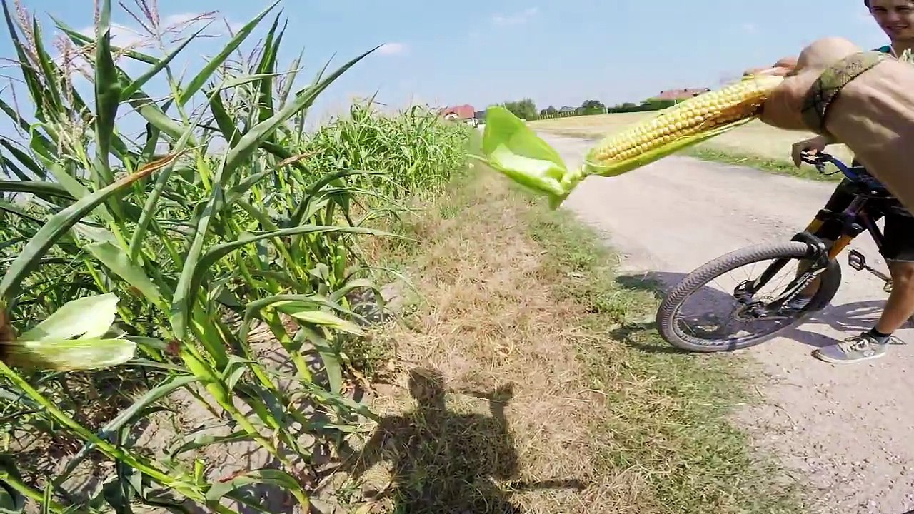 GoPro: Backyard Freestyle With The Godzieks