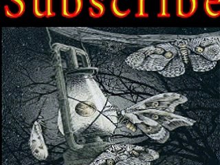 Amnesia Notturno Invisible 2016