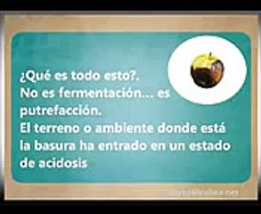 Dieta Alcalina Para Sanar y Adelgazar