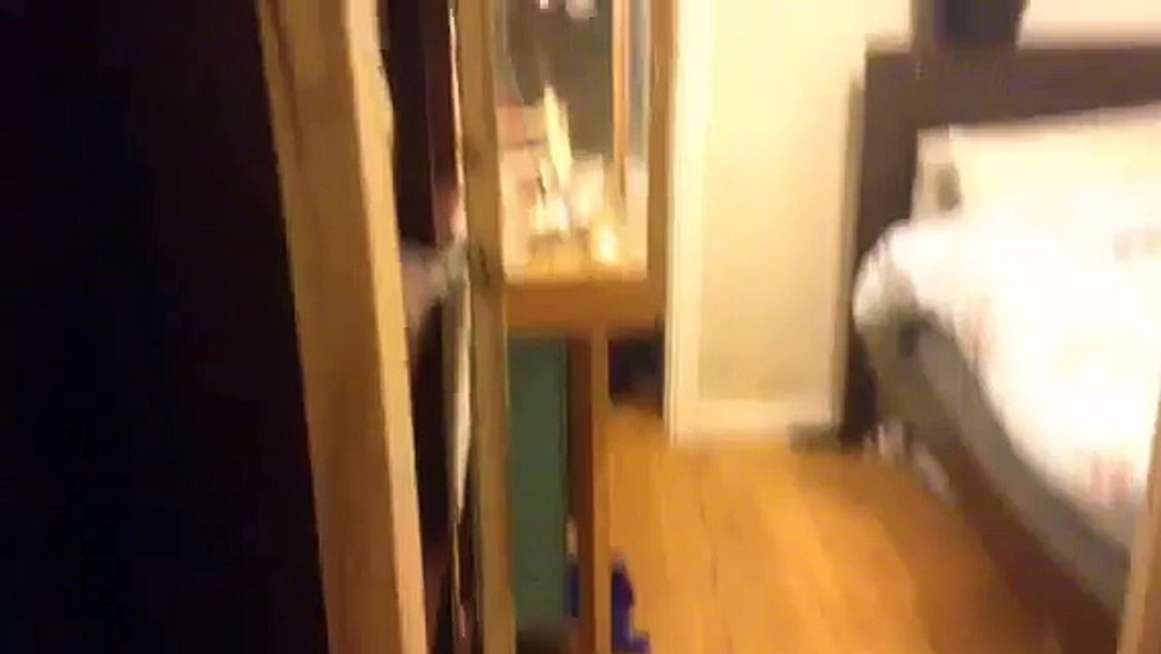 How to build an aviary part 4