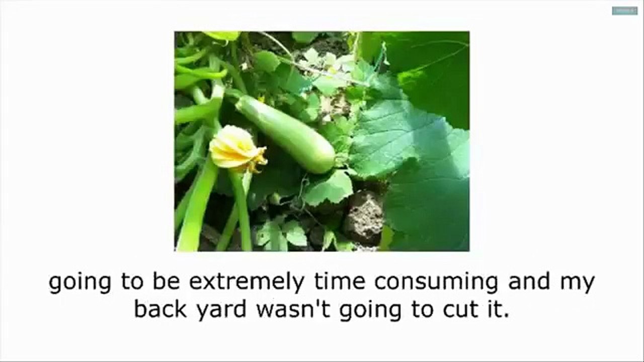 Backyard Liberty System