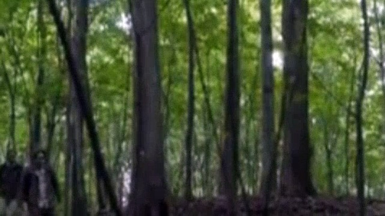 Helix s2 e3