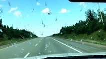 Its raining bugs - driving through Quebecs Saguenay region in summer