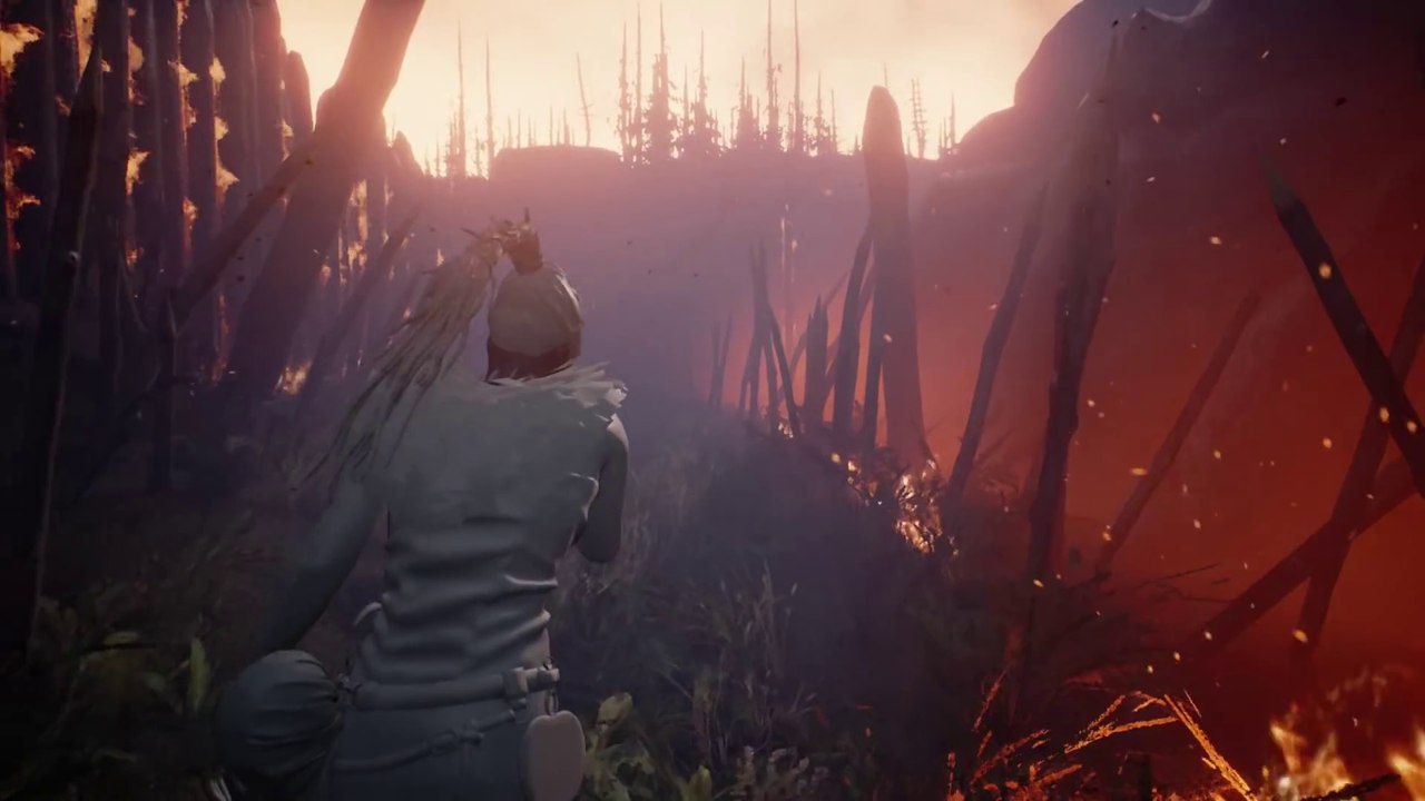 Hellblade - Carnet de développeurs #20