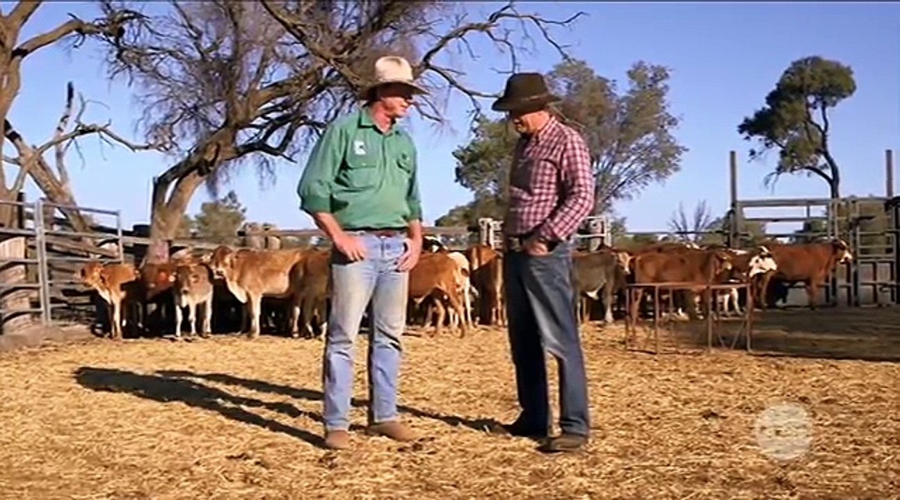 Wanted  Australian Crime- Most Wanted