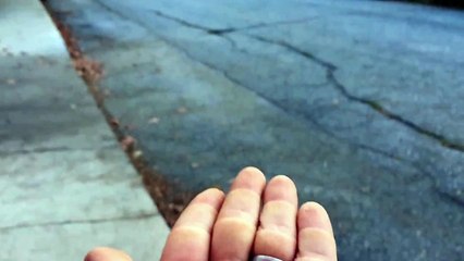 The Coolest Thing Youll See All Day