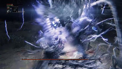 BloodborneTM Darkbeast Paarl Battle