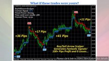 Forex buy sell arrow scalper software download with instant access