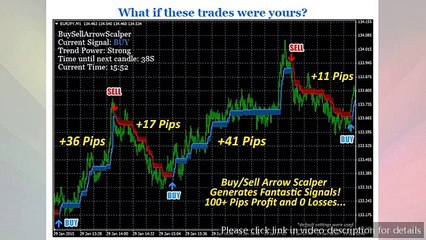 Forex buy sell arrow scalper software download with instant access