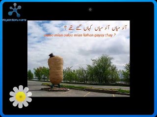 Aaloo Mian Aaloo Mian