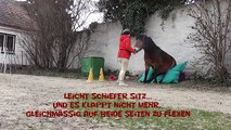 Lele und Das Clickertraining - Training für faule Pferde