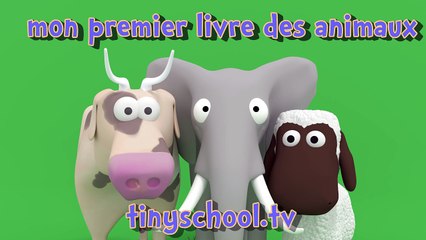 animaux pour petits enfants tinyschool tv