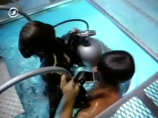 Der Mann aus Atlantis Staffel 1 Folge 11 deutsch german