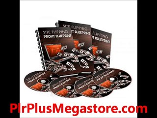 Site Flipping Profit Blueprints - Video Course and Ebook
