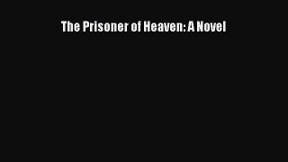 (PDF Download) The Prisoner of Heaven: A Novel PDF