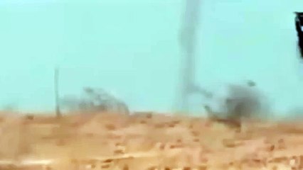 Miracle flying white horse