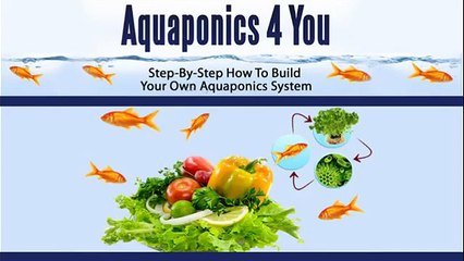 Aquaponics 4 You - Step-By-Step How To Build Your Own Aquaponics System