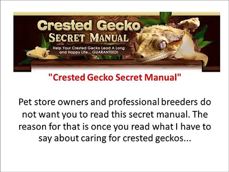 crested gecko manual+crested gecko secret manual reviews