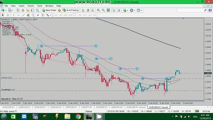 RobotFX Fluid - HedgeZone (settings)