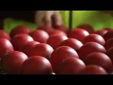 its Amazing!!!! Making of cricket Ball