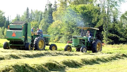 Building a Chicken Coop