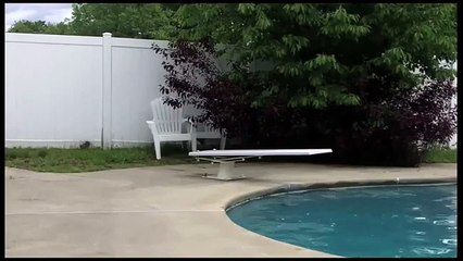 Explaindio Bonus HD Stock Video & Motion Background Samples