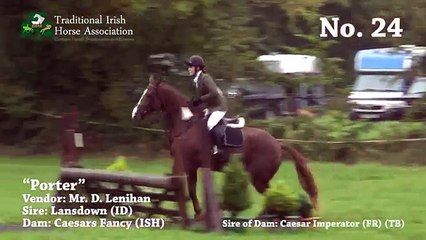 TIHA Hunter Show and Go 2015 - 24